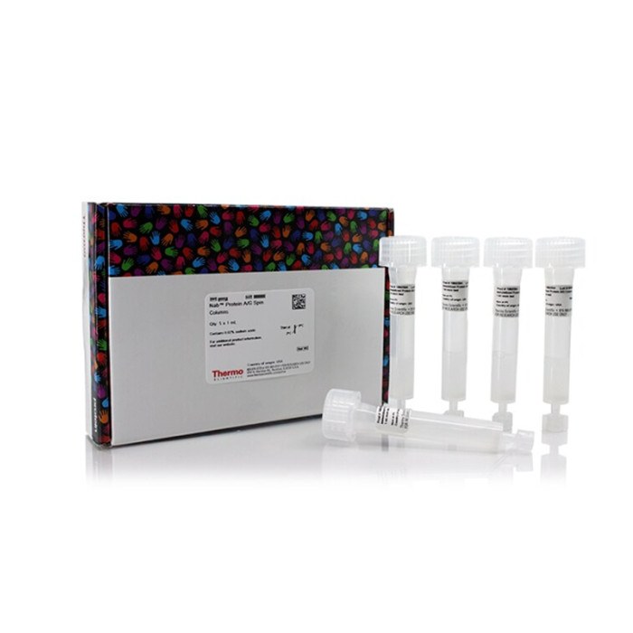 NAb 蛋白A/G离心柱 1ml
