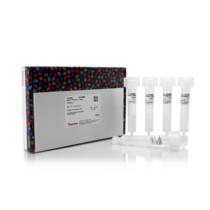 NAb 蛋白L离心柱 1ml