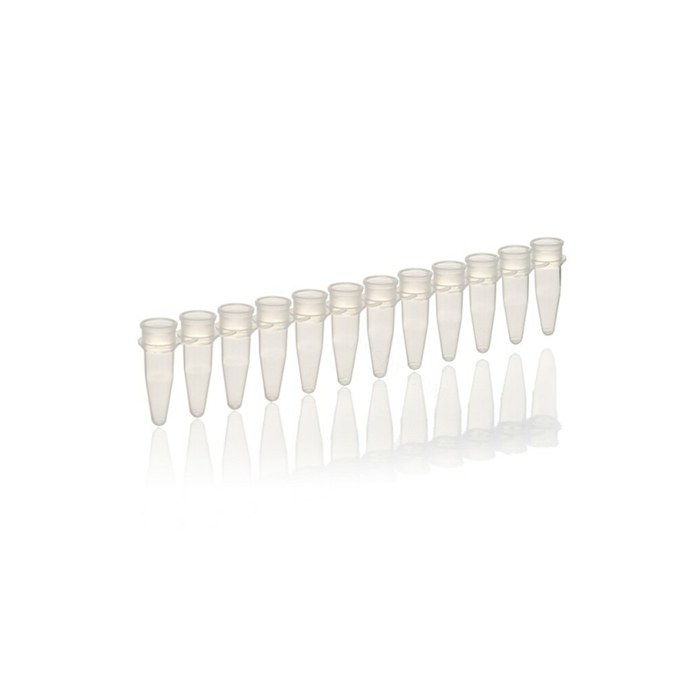 12联排管 0.2ml 不含盖 透明 - Thermo Scientific