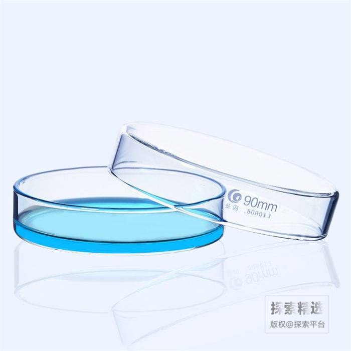 高硼硅玻璃培养皿 直径90mm
