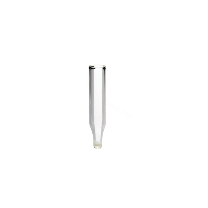 200uL锥形玻璃内插管 5x31mm - Thermo Fisher