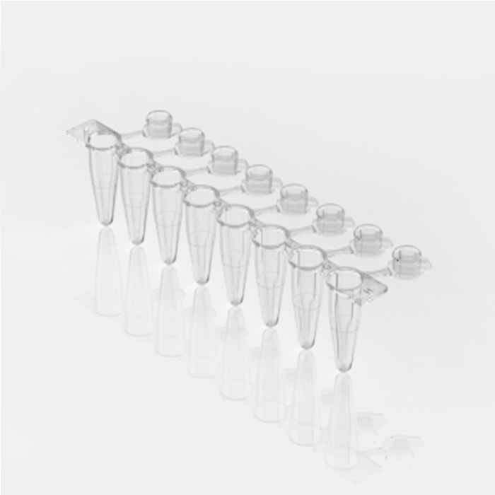 0.1ml透明薄壁PCR连盖八联管 用于PCR QPCR