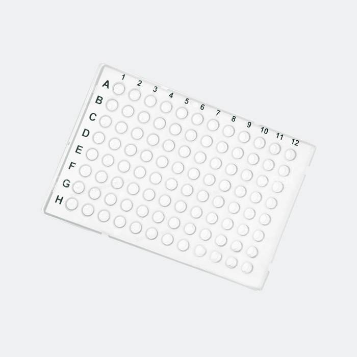 PCR板 100ul 96孔半裙边 透明 黑色标识