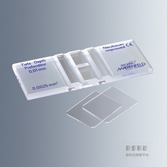 玻璃血球计数板 AP-0642110 黑线透明底 深度0.02mm&nbsp; 含2片20&times;26mm专用玻片