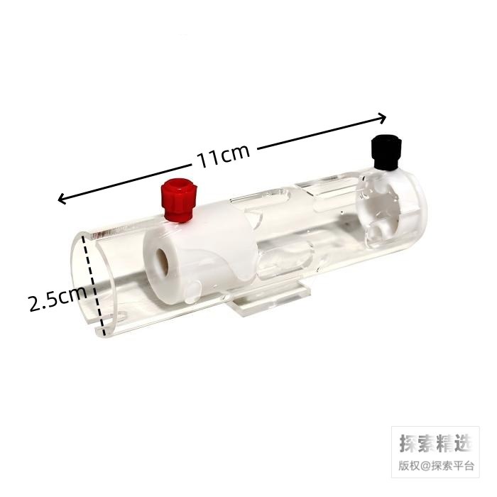小鼠固定器 圆筒后肢式 筒长&times;内径：11cm&times;2.5cm 适用15-25g鼠