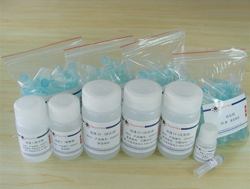 质粒小量抽提试剂盒