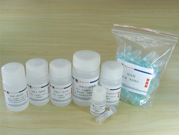 质粒中量抽提试剂盒