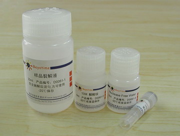 哺乳动物基因组DNA抽提试剂盒 - Beyotime/碧云天
