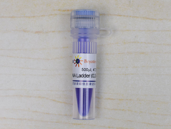 DNA Ladder (0.2-12 kb, 12 bands)
