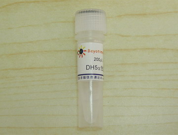 DH5&alpha;甘油菌 - Beyotime/碧云天