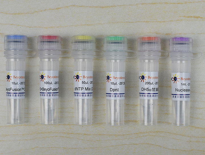 QuickMutation基因定点突变试剂盒 - Beyotime/碧云天