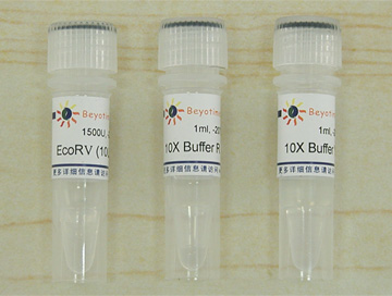 EcoRV