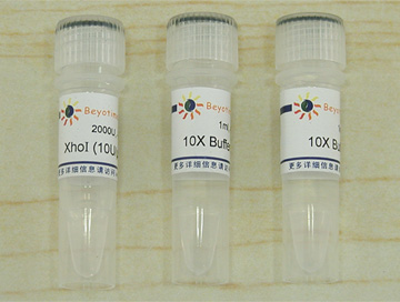 XhoI
