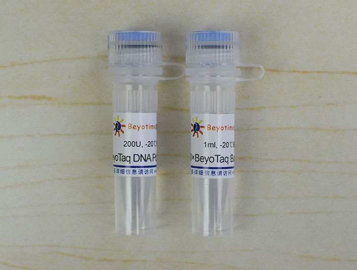 BeyoTaq DNA Polymerase - Beyotime/碧云天