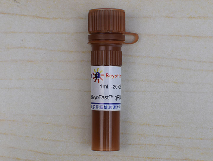 BeyoFast SYBR Green qPCR Mix (2X， Low ROX) - Beyotime/碧云天