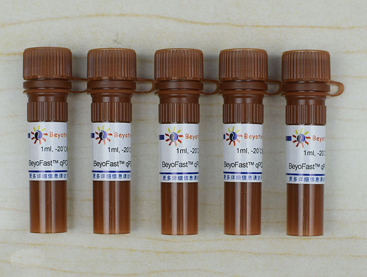 BeyoFast SYBR Green qPCR Mix (2X, Low ROX)