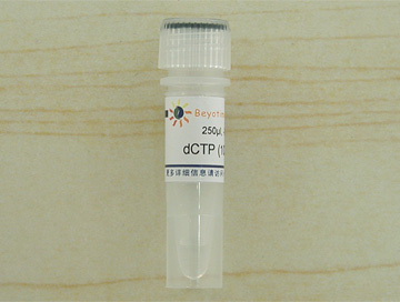 dCTP (100mM)