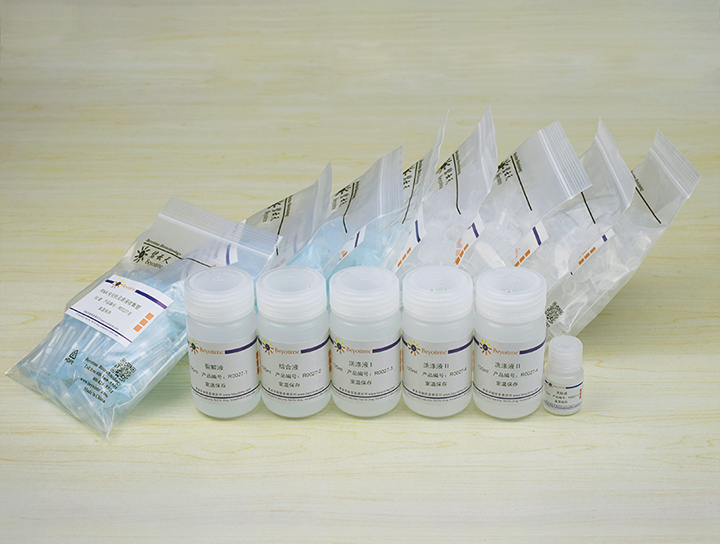 RNAeasy动物长链RNA抽提试剂盒(离心柱式)