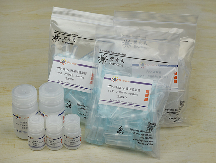 RNAeasy动物小RNA抽提试剂盒(离心柱式) - Beyotime/碧云天