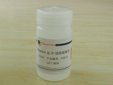 Western及IP细胞裂解液 - Beyotime/碧云天