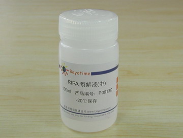 RIPA裂解液(中)