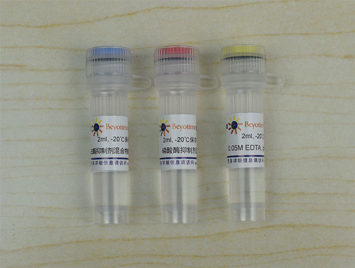 蛋白酶磷酸酶抑制剂混合物(通用型 , 50X) - Beyotime/碧云天