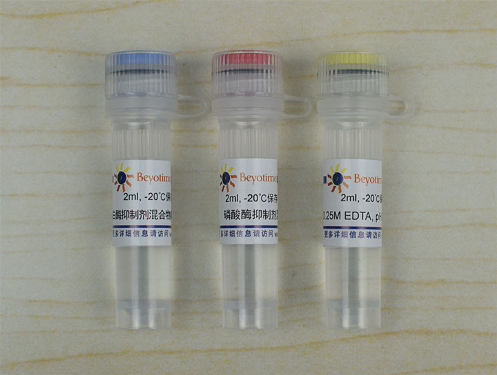 蛋白酶磷酸酶抑制剂混合物(哺乳动物样品抽提用, 50X) - Beyotime/碧云天