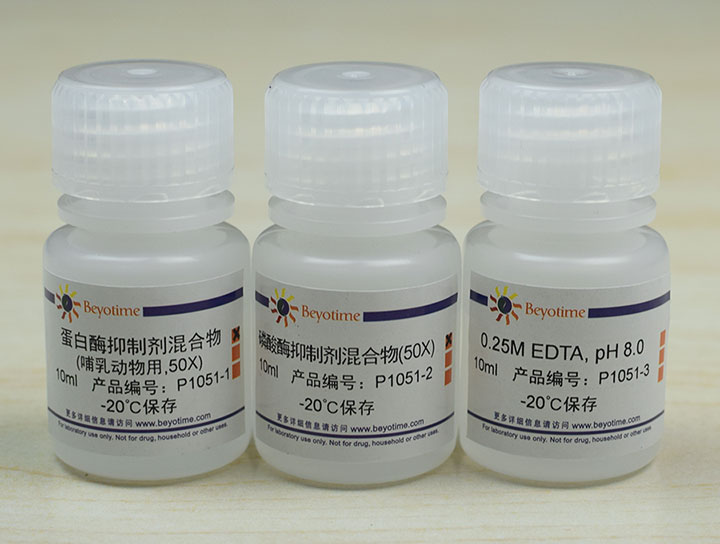 蛋白酶磷酸酶抑制剂混合物(哺乳动物样品抽提用, 50X) - Beyotime/碧云天