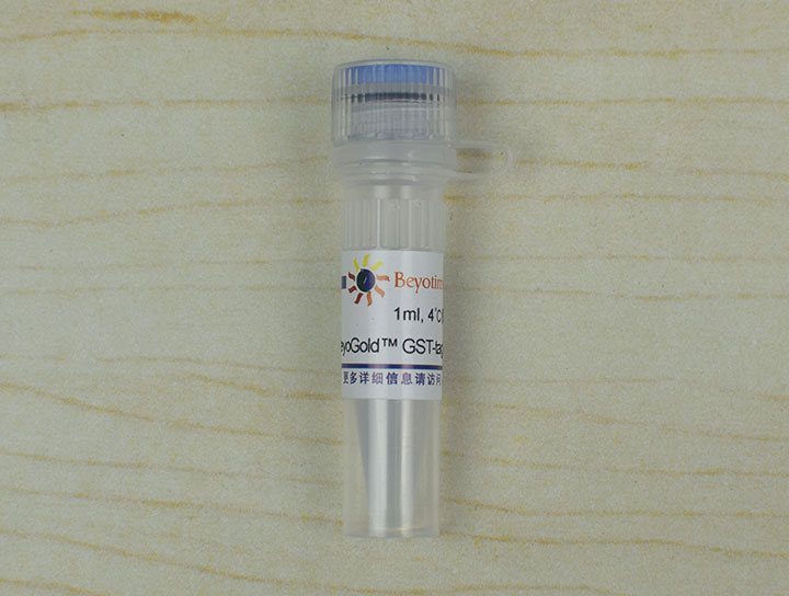 BeyoGold GST-tag Purification Resin（试剂） - Beyotime/碧云天