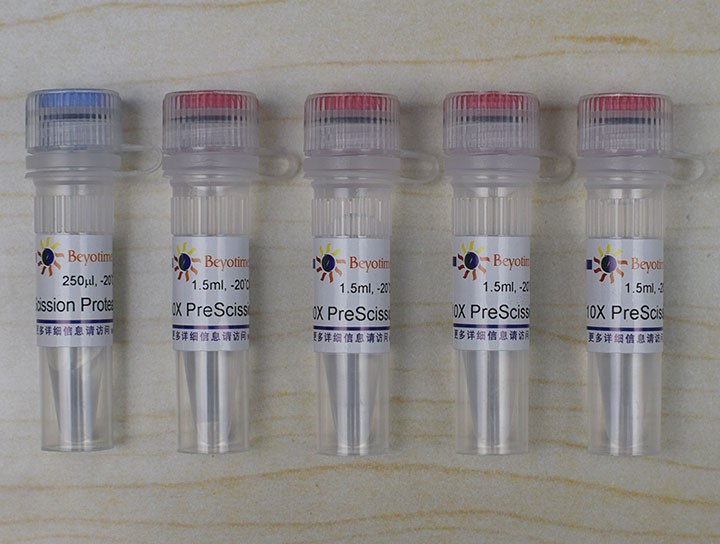 PreScission Protease（试剂） - Beyotime/碧云天