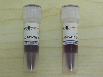 SDS-PAGE蛋白上样缓冲液(5X) - Beyotime/碧云天