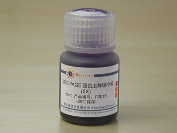 SDS-PAGE蛋白上样缓冲液 5X - Beyotime/碧云天
