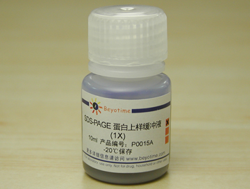 SDS-PAGE蛋白上样缓冲液(1X) - Beyotime/碧云天
