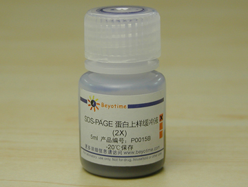 SDS-PAGE蛋白上样缓冲液(2X) - Beyotime/碧云天
