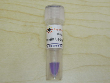 Protein Ladder (10-200kD, 非预染) - Beyotime/碧云天