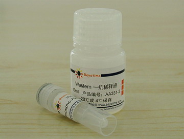 Phospho-Akt(Thr308)抗体(兔多抗) - Beyotime/碧云天