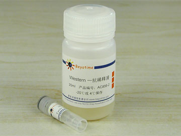 Cyclin D3抗体(小鼠单抗) - Beyotime/碧云天