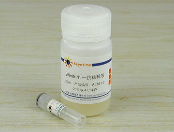 ERp44抗体(兔单抗) - Beyotime/碧云天