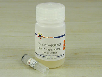 Estrogen Receptor &alpha;抗体(兔单抗) - Beyotime/碧云天