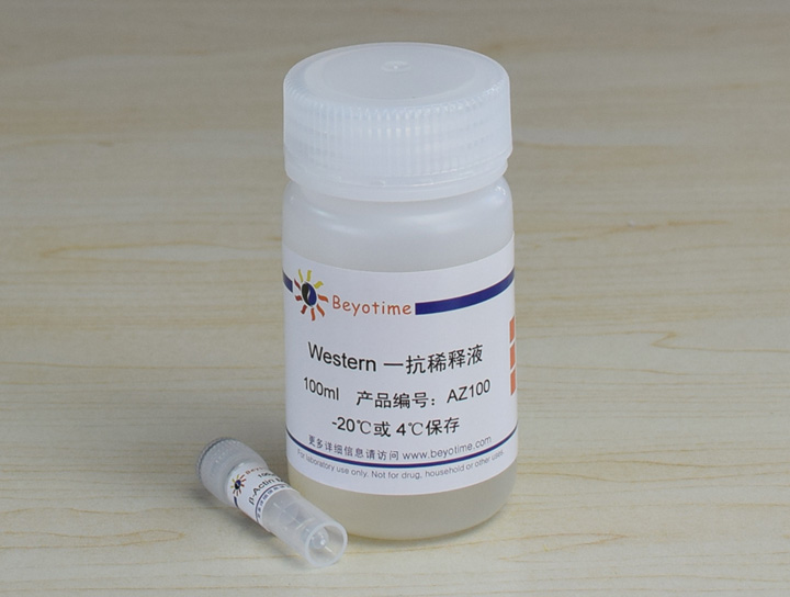 &beta;-Actin Mouse Monoclonal Antibody抗体 - Beyotime/碧云天