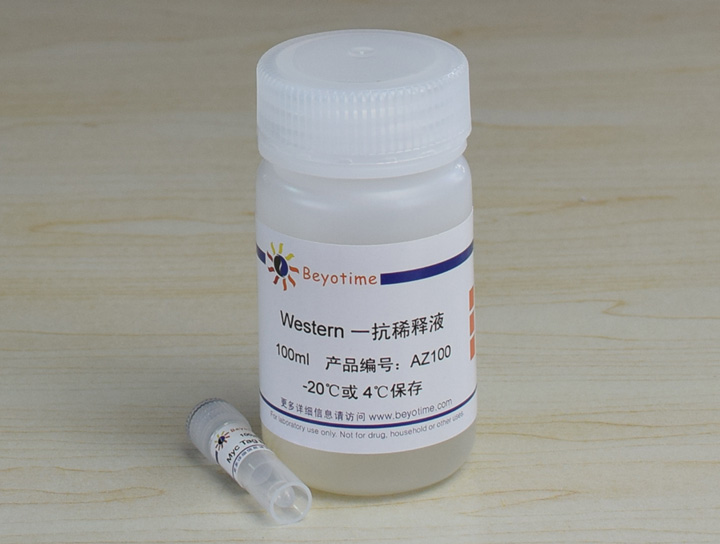 Myc Tag Mouse Monoclonal Antibody抗体 - Beyotime/碧云天