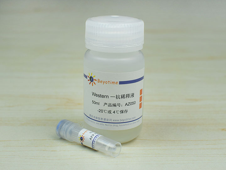 AFP Rabbit Polyclonal Antibody抗体 - Beyotime/碧云天