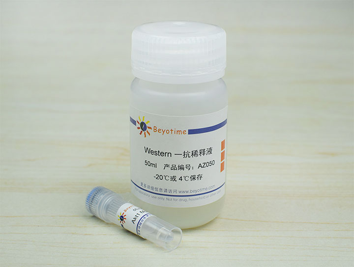 Akt1 Mouse Monoclonal Antibody抗体 - Beyotime/碧云天