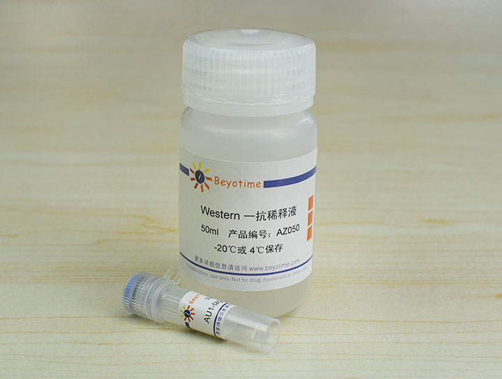 AU1-tag Mouse Monoclonal Antibody抗体 - Beyotime/碧云天
