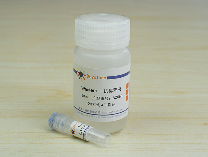 CD3&zeta; Rabbit Polyclonal Antibody抗体 - Beyotime/碧云天