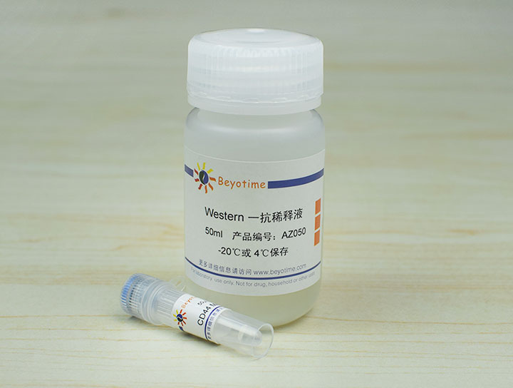 CD44 Mouse Monoclonal Antibody抗体 - Beyotime/碧云天