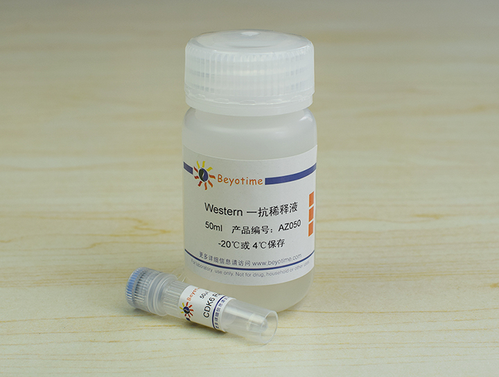 CDK6 Rabbit Polyclonal Antibody抗体
