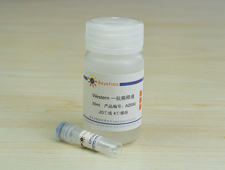 EPCAM Mouse Monoclonal Antibody抗体 - Beyotime/碧云天