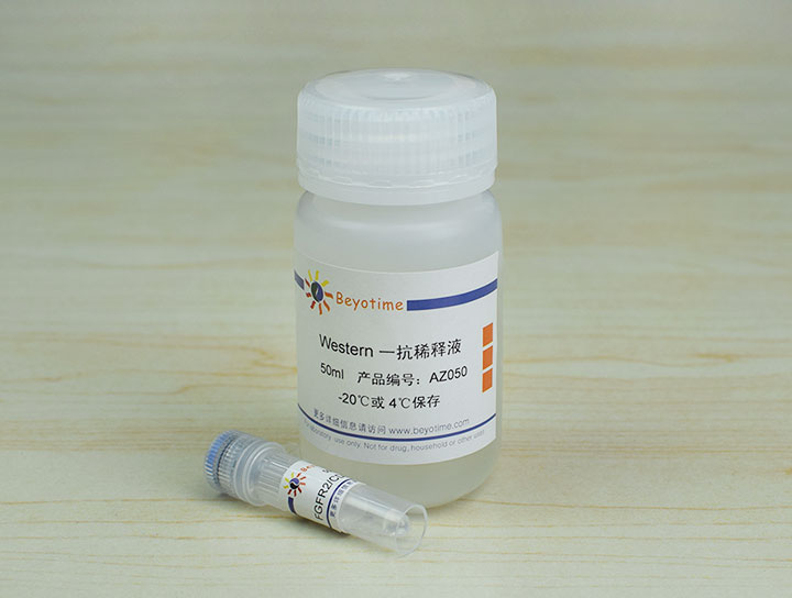 FGFR2/CD332 Mouse Monoclonal Antibody抗体