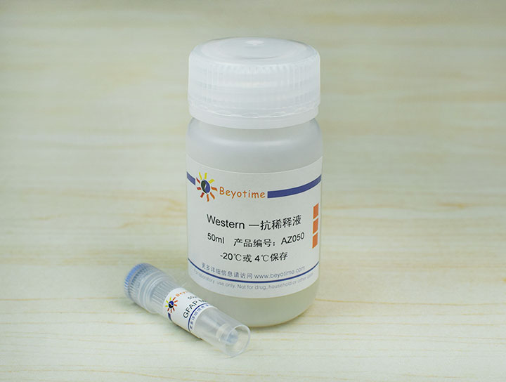 GFAP Mouse Monoclonal Antibody抗体 - Beyotime/碧云天